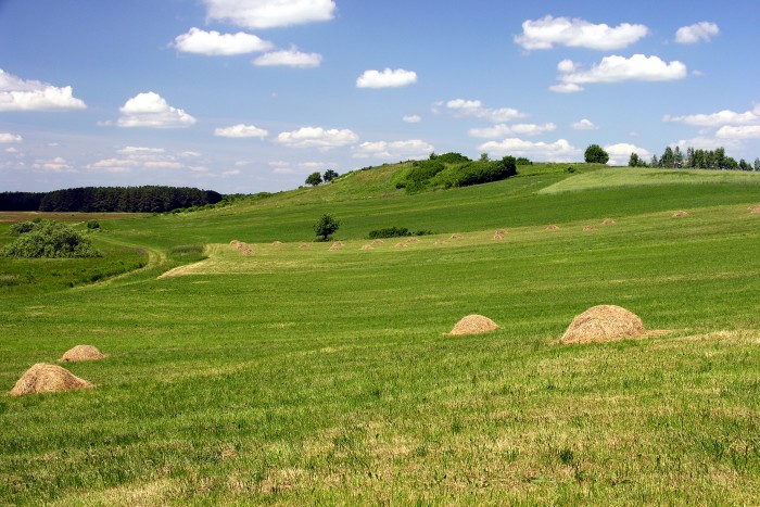 Sowia Góra (galeria: 1)